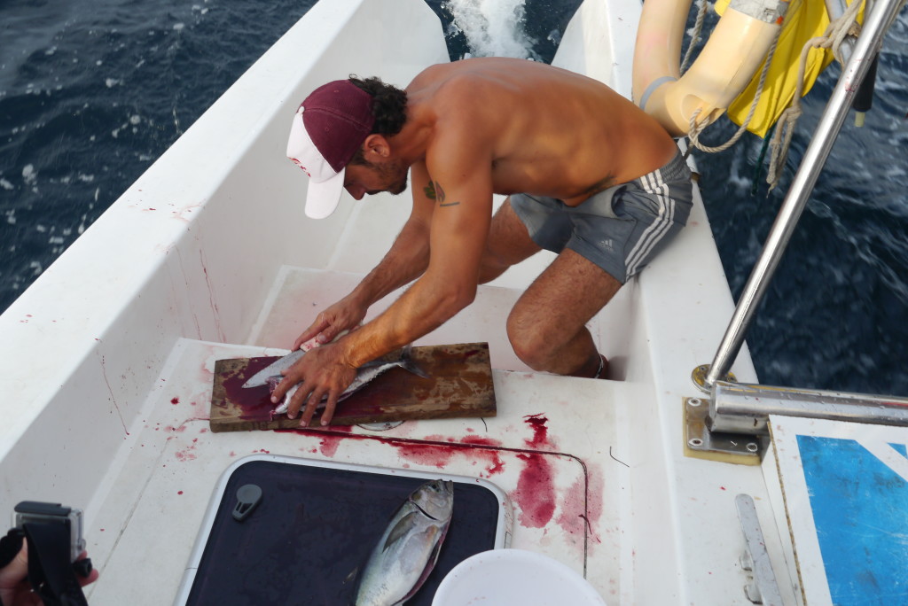 Sailing with Gitano Del Mar